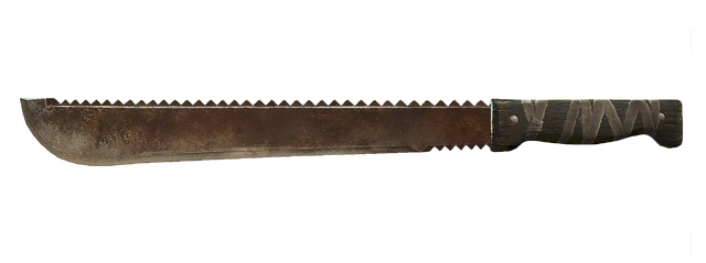 File:FO4 Serrated Machete.png