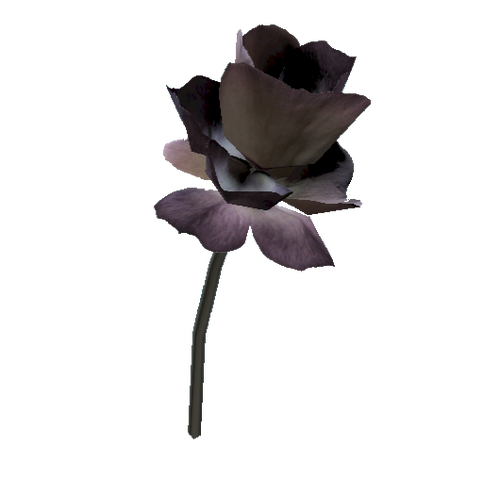 File:Mutated fern flower.png