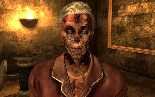 File:FO3SnowflakeNoGlasses.jpg