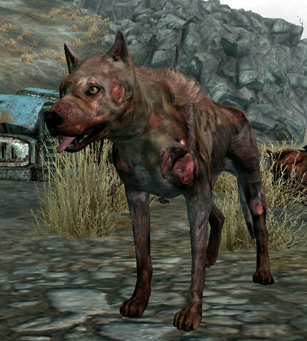 File:Vicious Dog alive.jpg