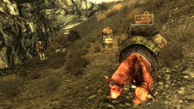File:Scavenger Pack Brahmin.jpg