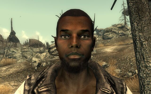 File:MegSettler2.jpg