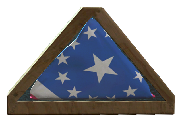 File:Undamaged American flag.png