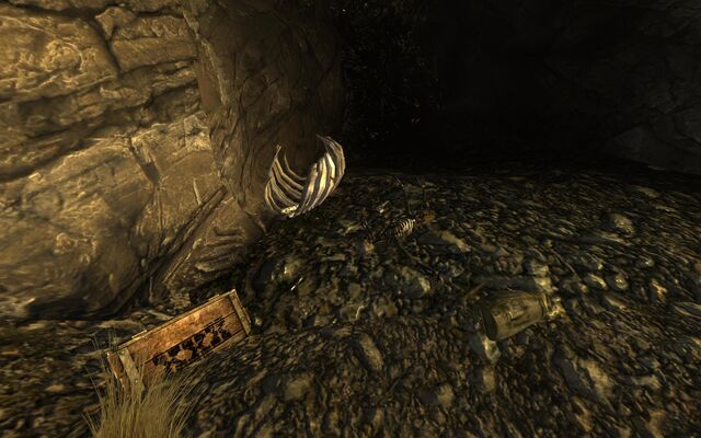 File:Cazador nest loot.jpg