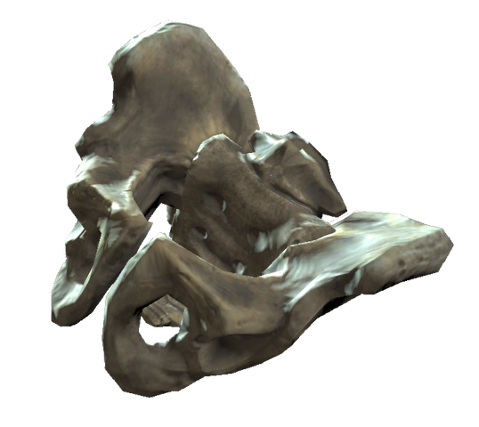 File:Pelvis bones.png