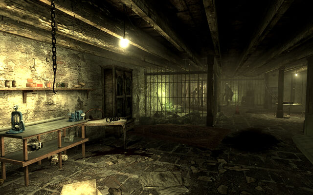 File:Trappers shack basement.jpg