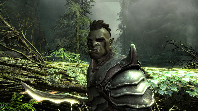 File:OrcNight01--article image.jpg