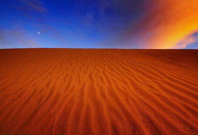 File:Desert Beauty.jpg