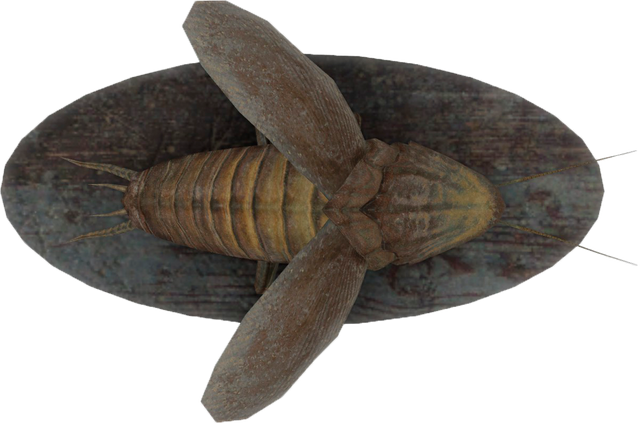 File:FO4-Mounted-Radroach.png