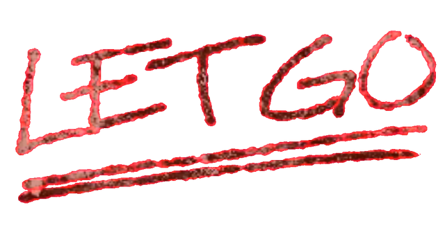 File:FNVDM Let Go GECK.png