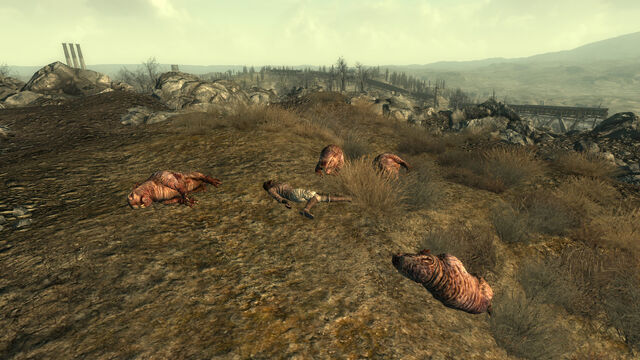 File:F This (NPC).jpg