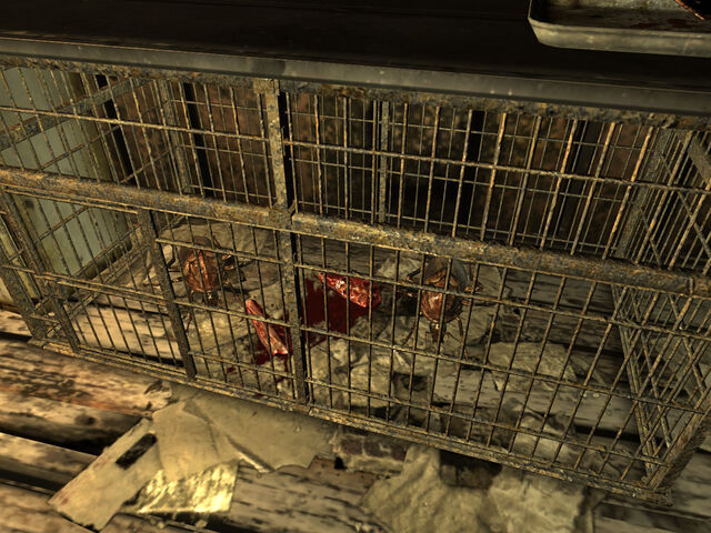 File:Fluffy Jitters cage.jpg