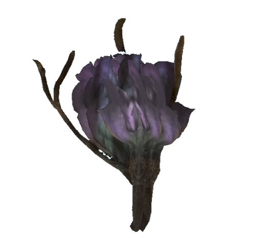File:Tato flower.png