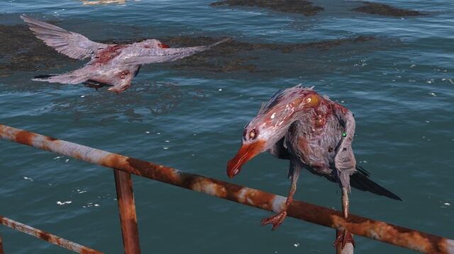 File:FO4 seagulls.jpg
