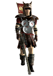 File:LegionVexillarius.png