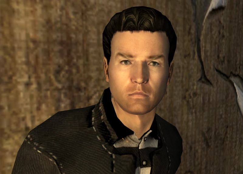 Fallout new vegas пыльник