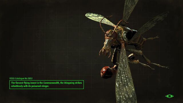 File:FO4 Stingwing loading screen.jpg