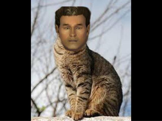 File:Ben the cat2.jpg