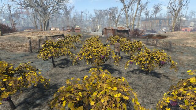 File:County crossing2.jpg