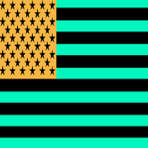 File:Inverted US Flag.png
