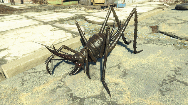 File:Cave cricket hunter.png