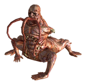 Centaur f3pl.png
