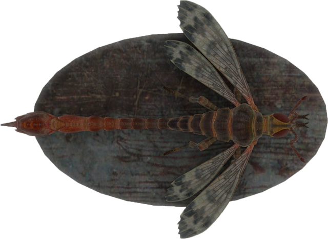 File:FO4-Mounted-Stingwing.png