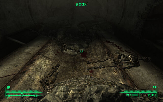 File:Olney sewers skeleton.jpg