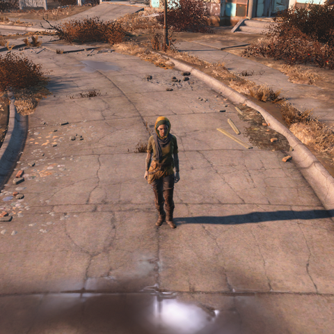 File:Fo4 New settler.png
