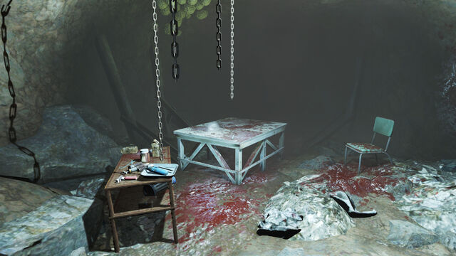 File:DC surgery cellar.jpg