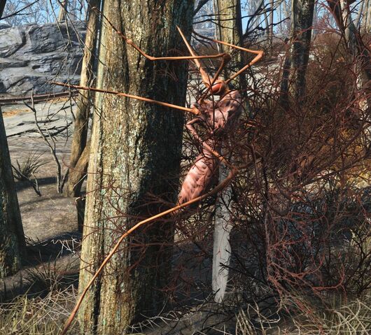 File:Fo4-bloodbug-tree.jpg