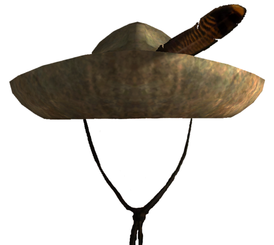 File:Rauls hat.png