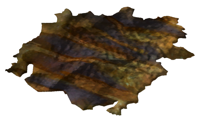 File:Golden gecko hide.png