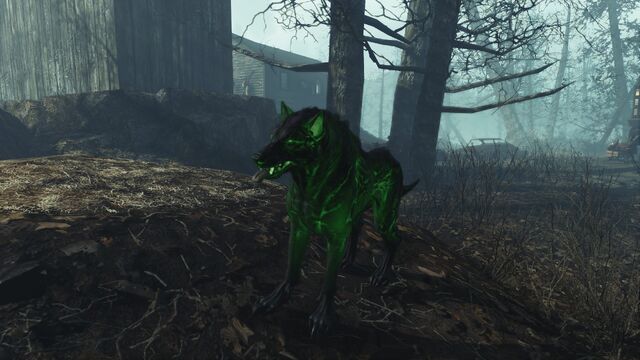 File:Fo4FH mutant wolf.jpg