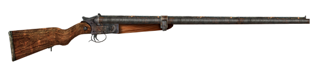 File:DoubleBarrelShotgun.png