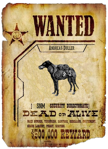 File:Andreas Duller.png