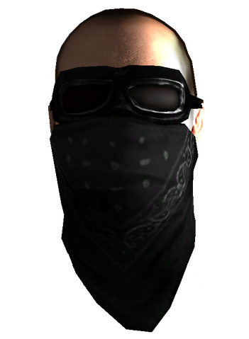 File:DamWar face mask.png