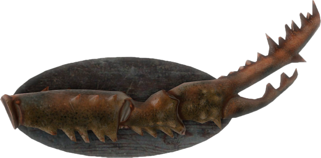 File:FO4-Mounted-Mirelurk-Queen-Claw.png