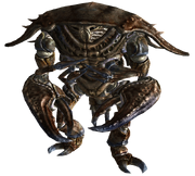 Mirelurk hunter