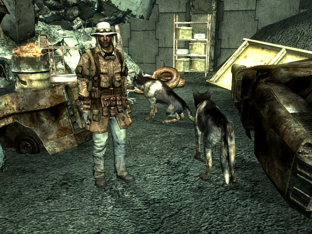 File:Scavenger dogs.jpg