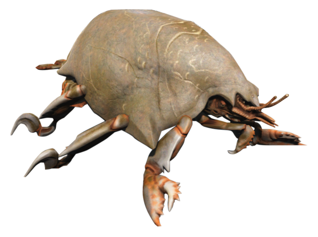 File:FO4 Mirelurk Spawn.png