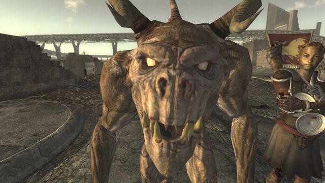 File:Userpeacepet.jpg