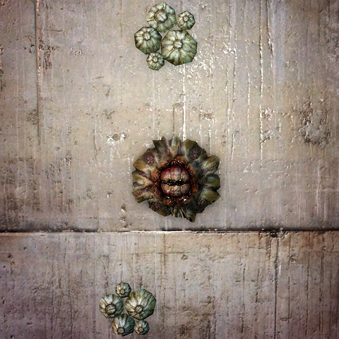 File:Fo4-Barnacle.png
