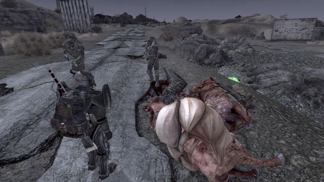 File:Helping the legion with a caravan.jpg