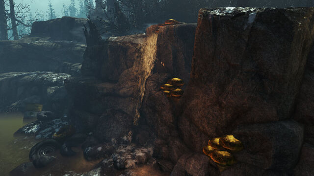 File:AtomSpring-FarHarbor.jpg