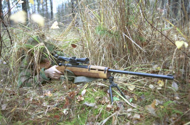 File:Zssniper.jpg
