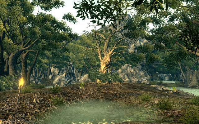 File:FO3 Oasis Grove west.jpg