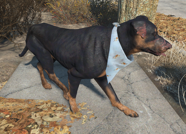 File:Jangles bandana worn.png