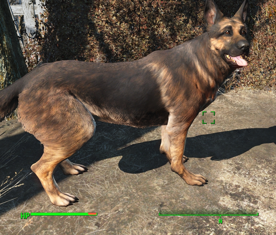 Fájl:Dogmeat.png