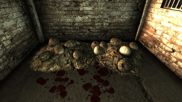 File:Deathclaw eggs AdamsAFB.jpg